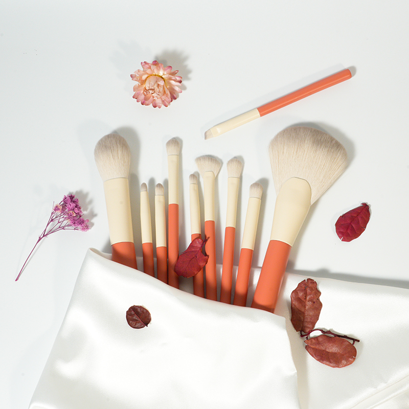 CF06 Private Label 10 Pieces Makeup Brush Collection Provider